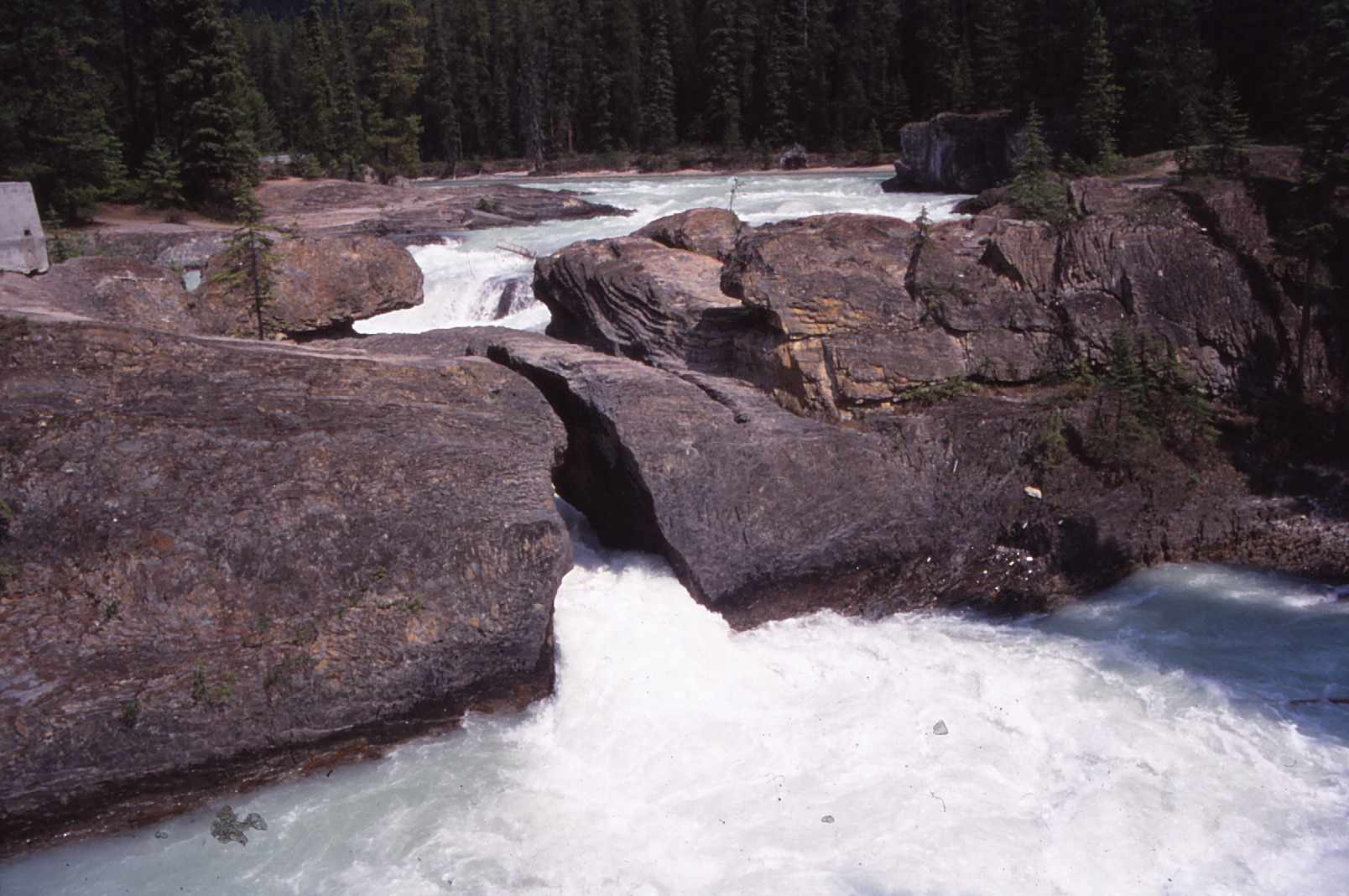 Naturbrücke über den Kicking Horse River