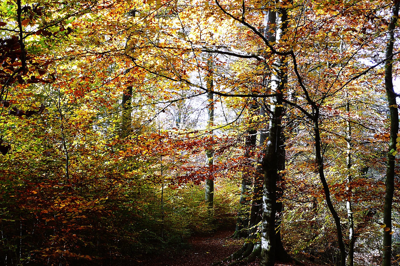 naturbunt