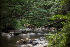 Naturburschen im Freibad