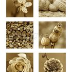 Naturcollage in Sepia