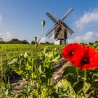 Naturdeko vor einer Bockwindmühle