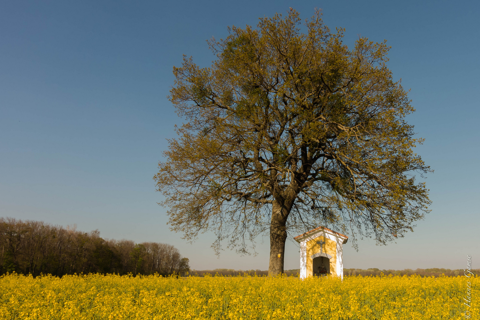 Naturdenkmal