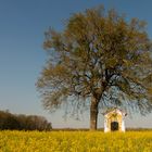 Naturdenkmal