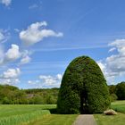 Naturdenkmal