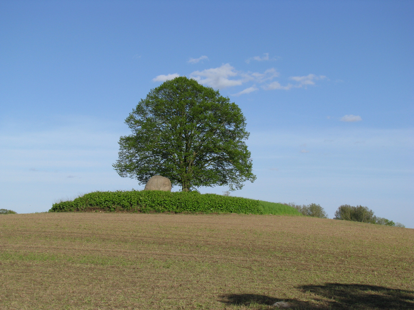 Naturdenkmal Foto & Bild natur, landschaft, mecklenburg Bilder auf