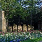 Naturdenkmal Alter Friedhof Heilbronn