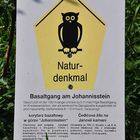 Naturdenkmal