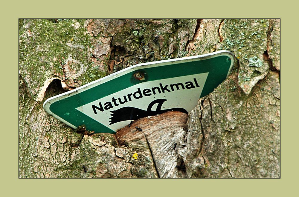 Naturdenkmal