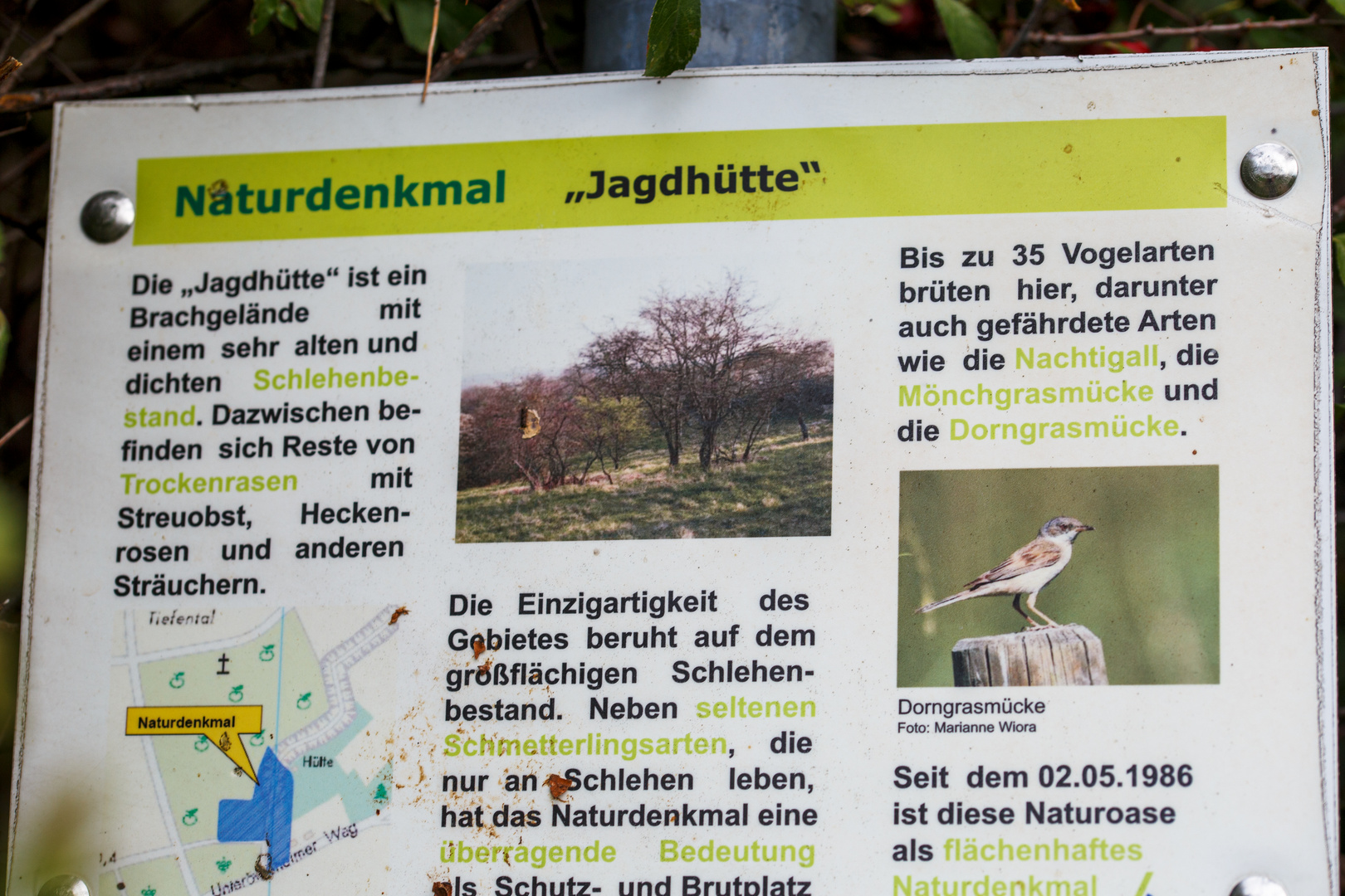 Naturdenkmal "Jagdhütte"