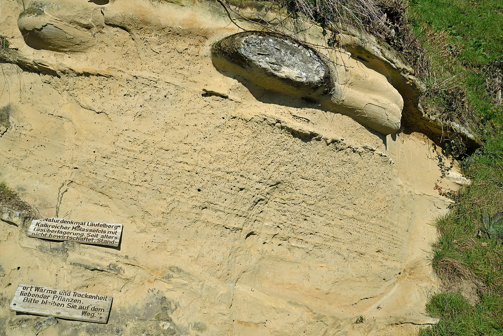 Naturdenkmal Läufelberg