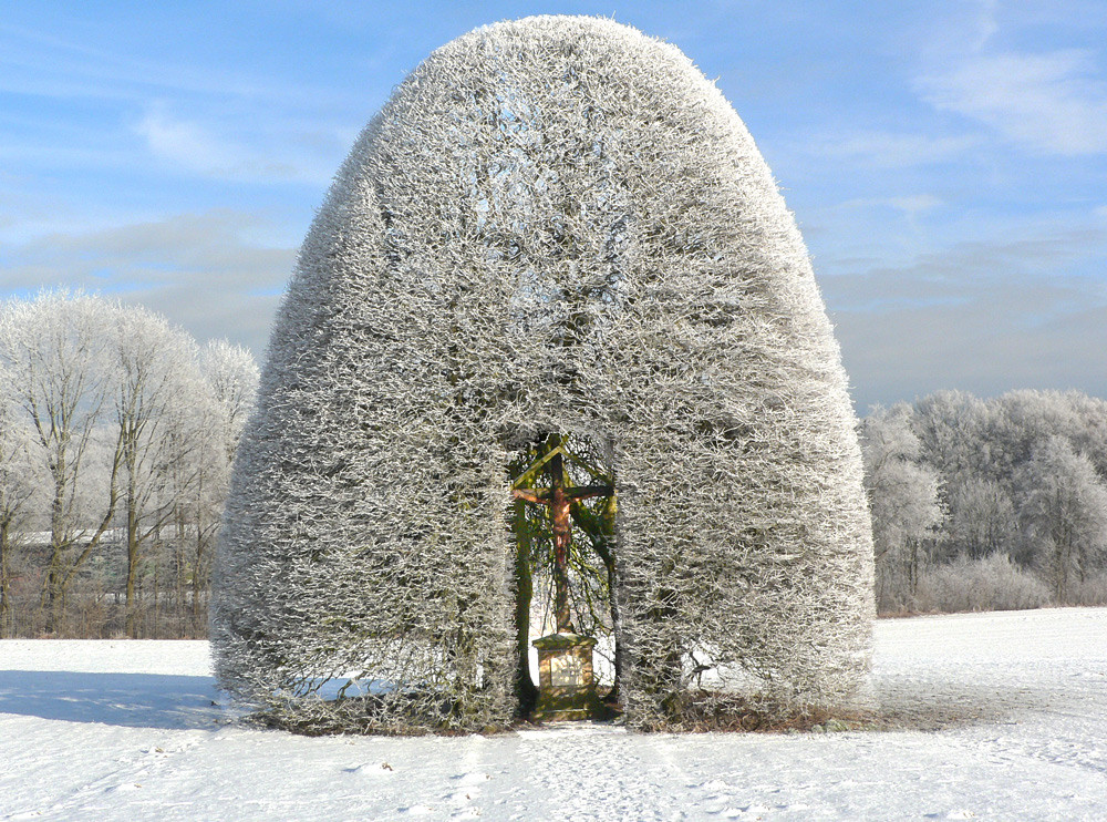 naturdenkmal neu