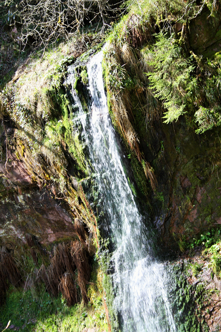 Naturdenkmal Sankenbachwasserfall