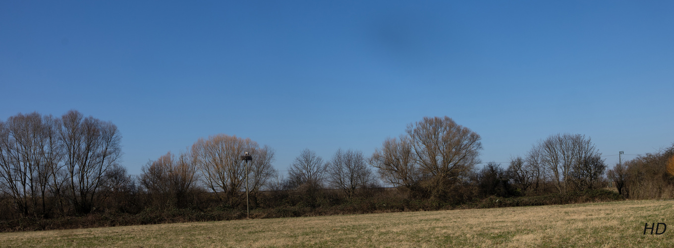 Naturdenkmal Silzenwiesen (FND) 