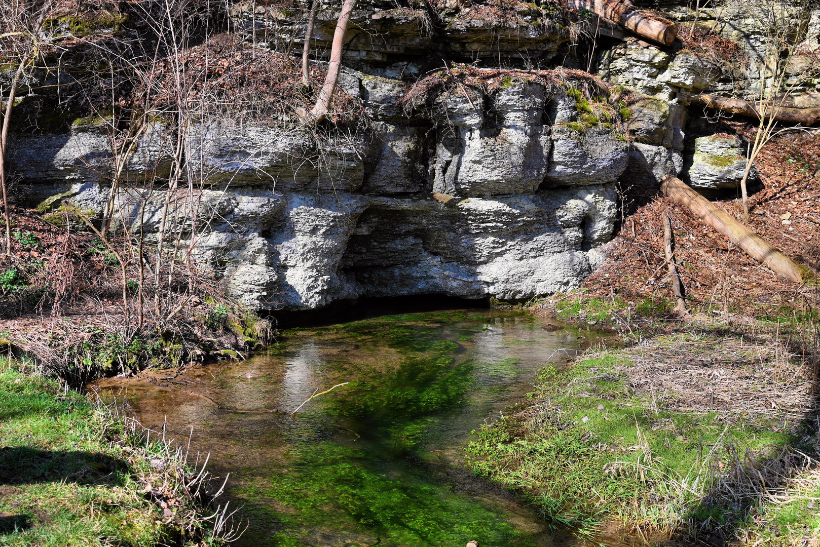 Naturdenkmal  Springquelle in Plaue