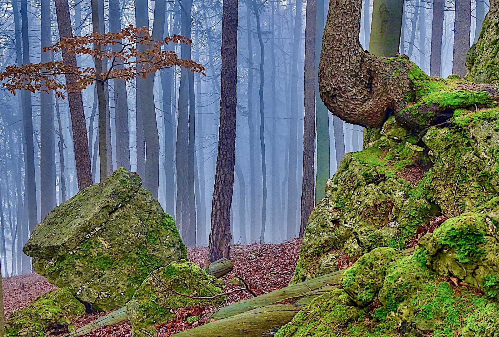 Naturdenkmal Teufelskanzel 