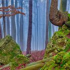 Naturdenkmal Teufelskanzel 