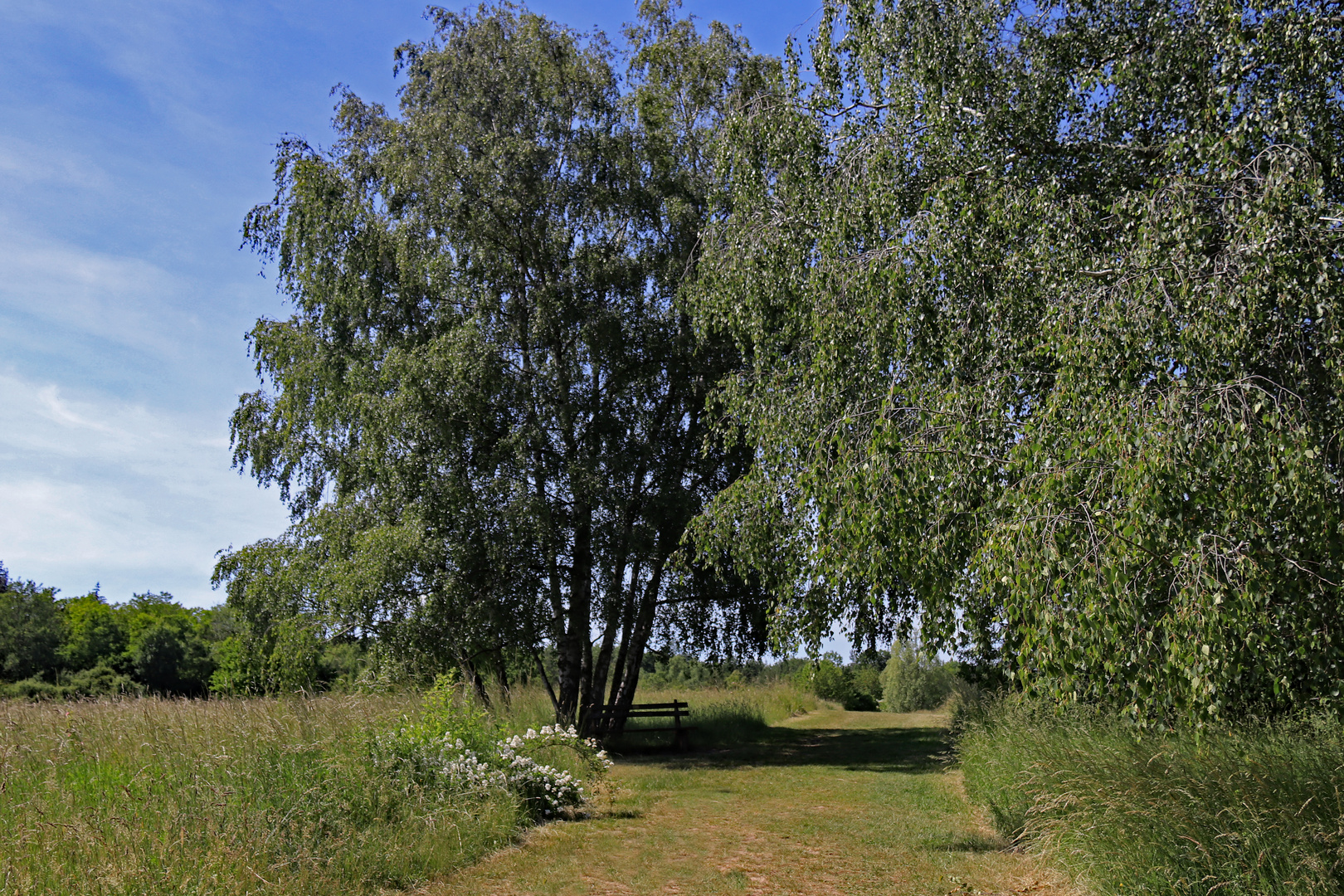 Naturdenkmal Waldheide