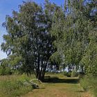 Naturdenkmal Waldheide