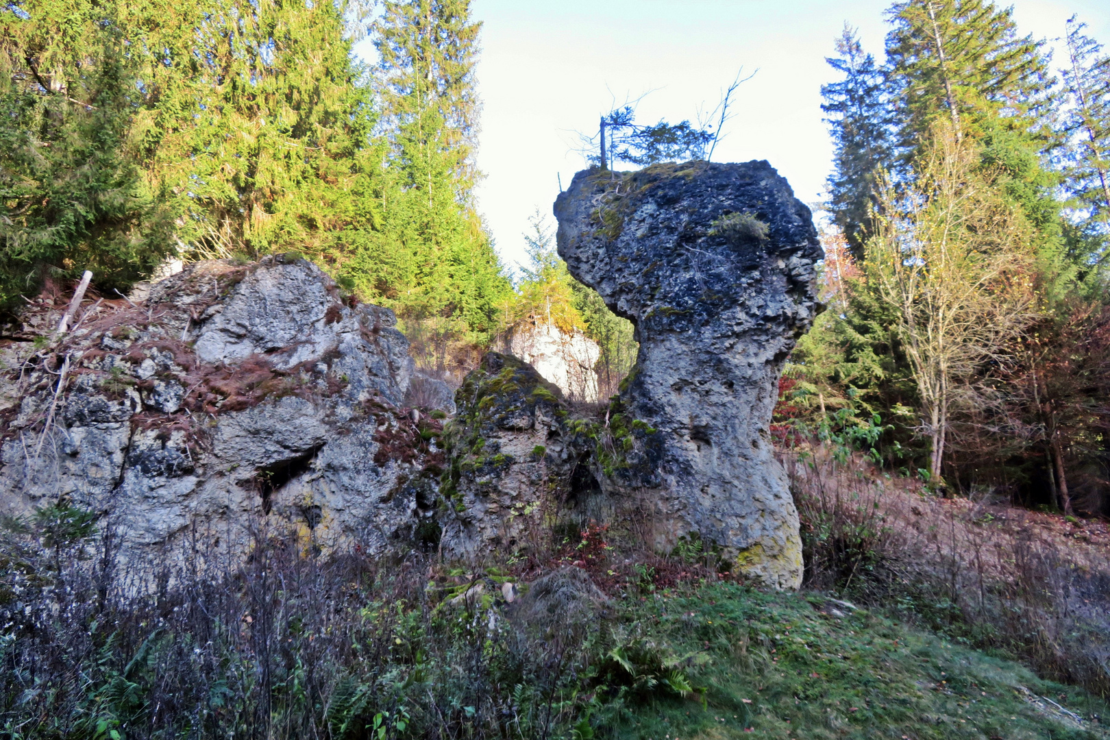 Naturdenkmal  Wentalweible