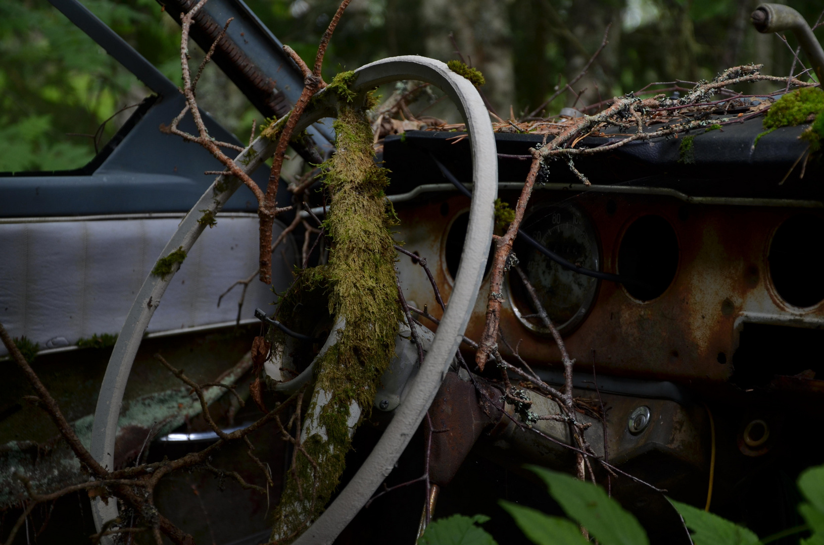 Nature always wins -- Saab steering wheel