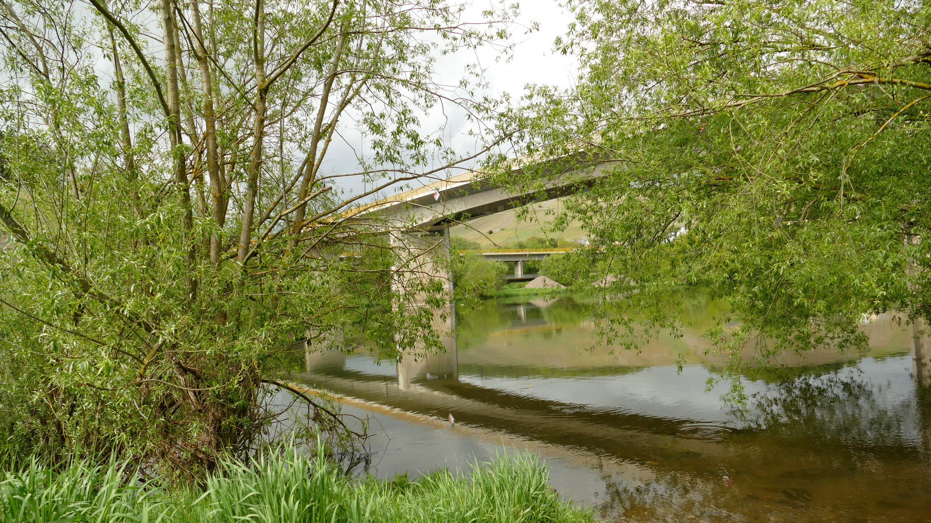 ^^^^ nature and bridge ^^^^