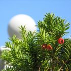 Nature and concrete