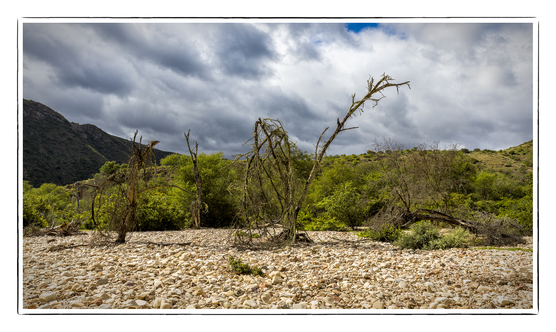 Nature at Baviaanskloof