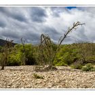 Nature at Baviaanskloof