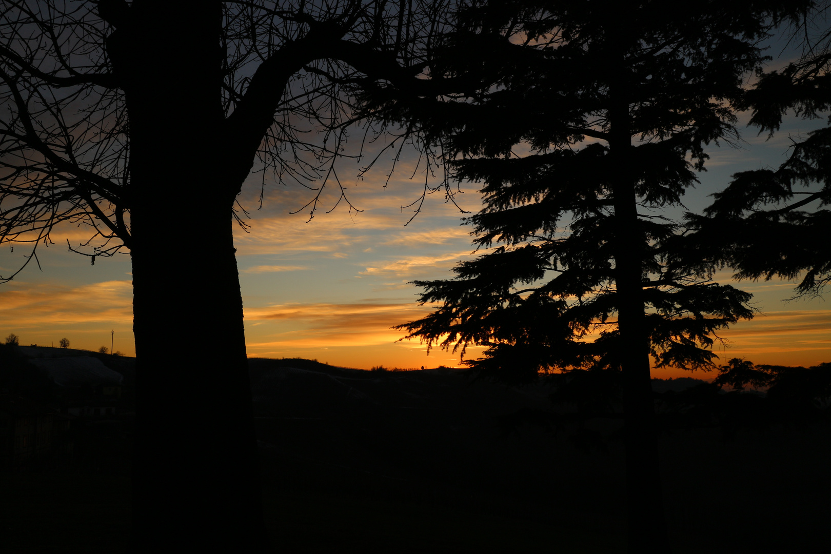 Nature backlight