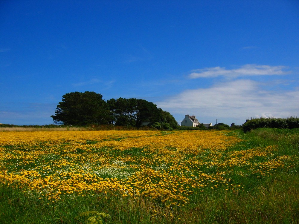 nature bretonne