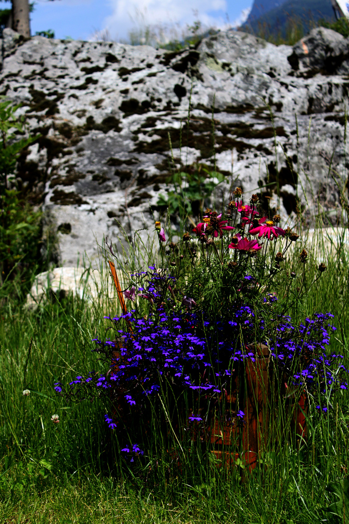 Nature Chamonix Cor