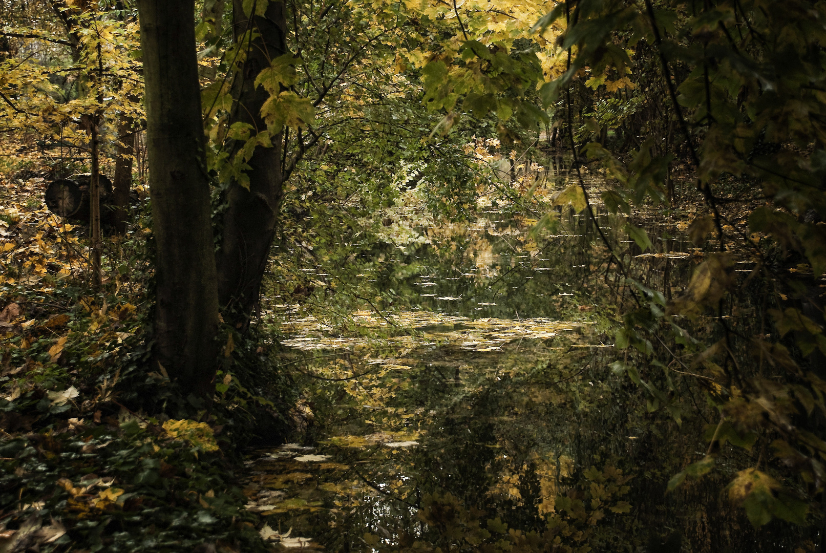 Nature créatrice