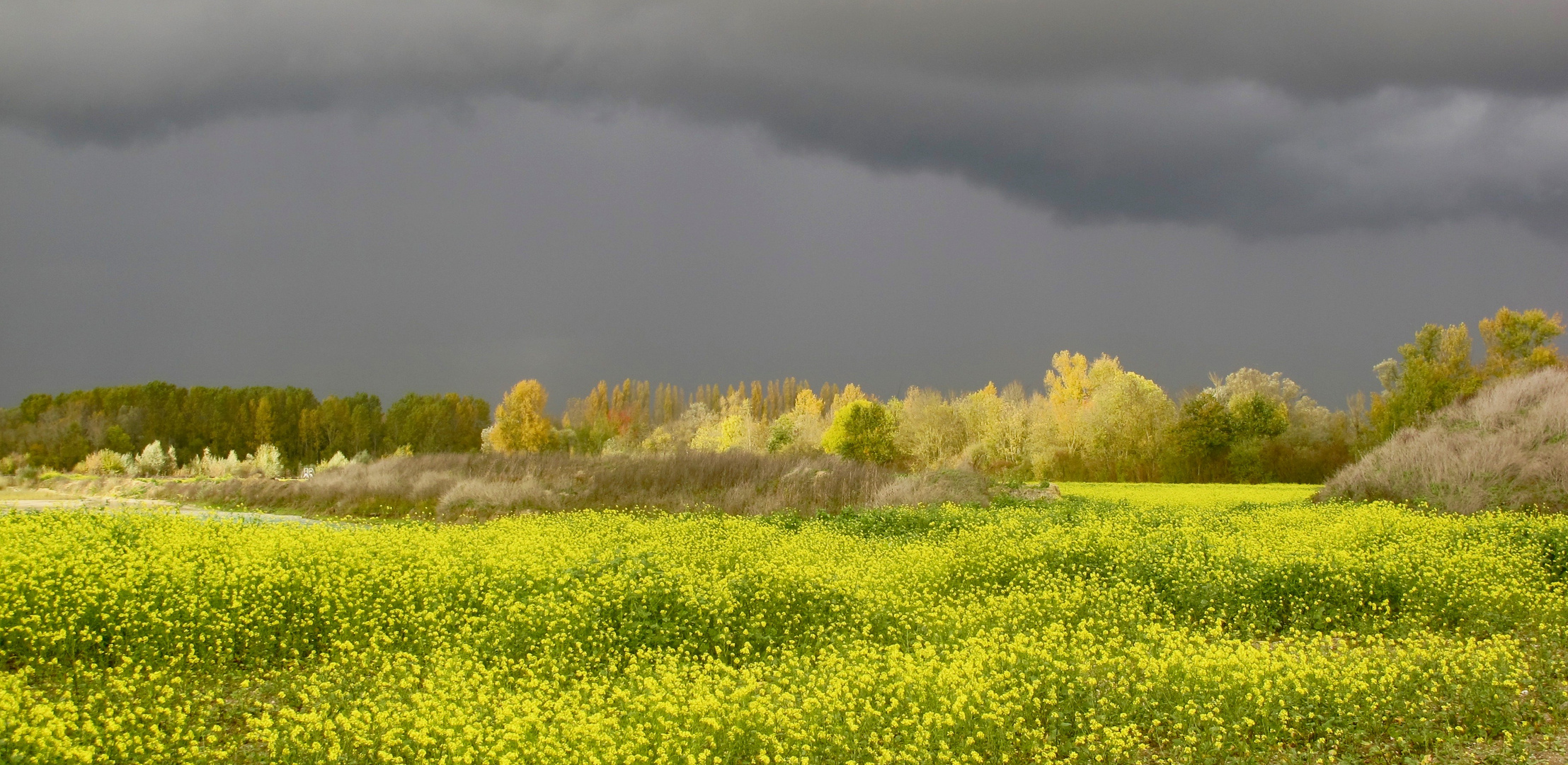 Nature dans l'Aube