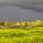 Nature dans l'Aube