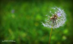 Nature d'Ardèche