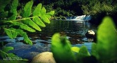 Nature d'Ardèche