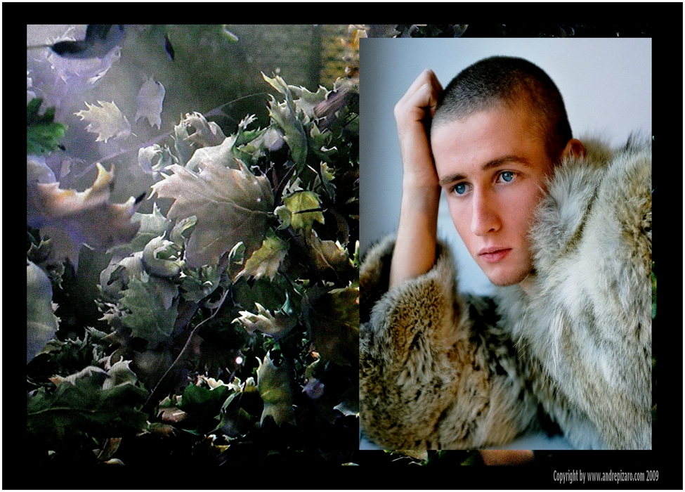 Nature-Emotions with Ede - Part III - Collage - Copyright by André Pizaro 2009