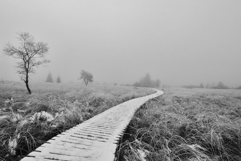 Nature et caillebotis