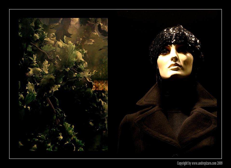 NATURE-FASHION - Collage - Copyright by André Pizaro 2009