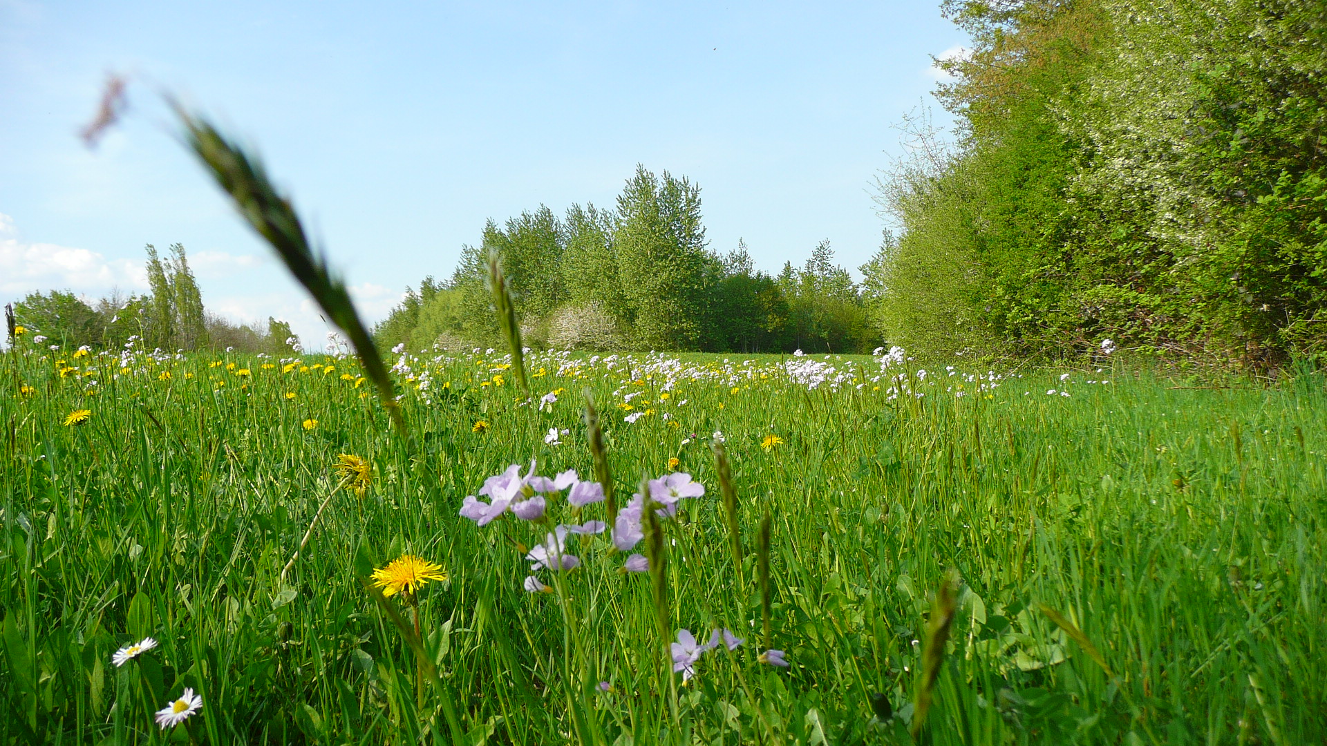 nature franc comtoise