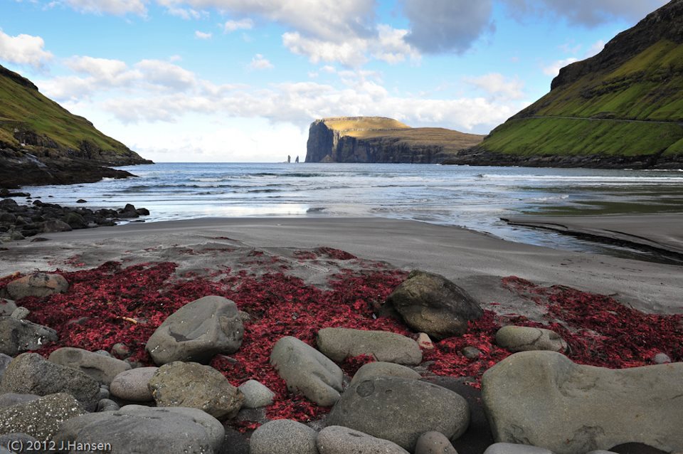 Nature from Faroe Islands
