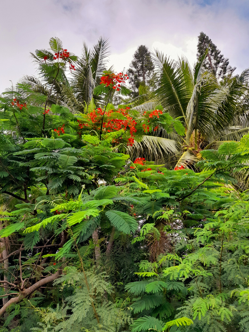 Nature généreuse