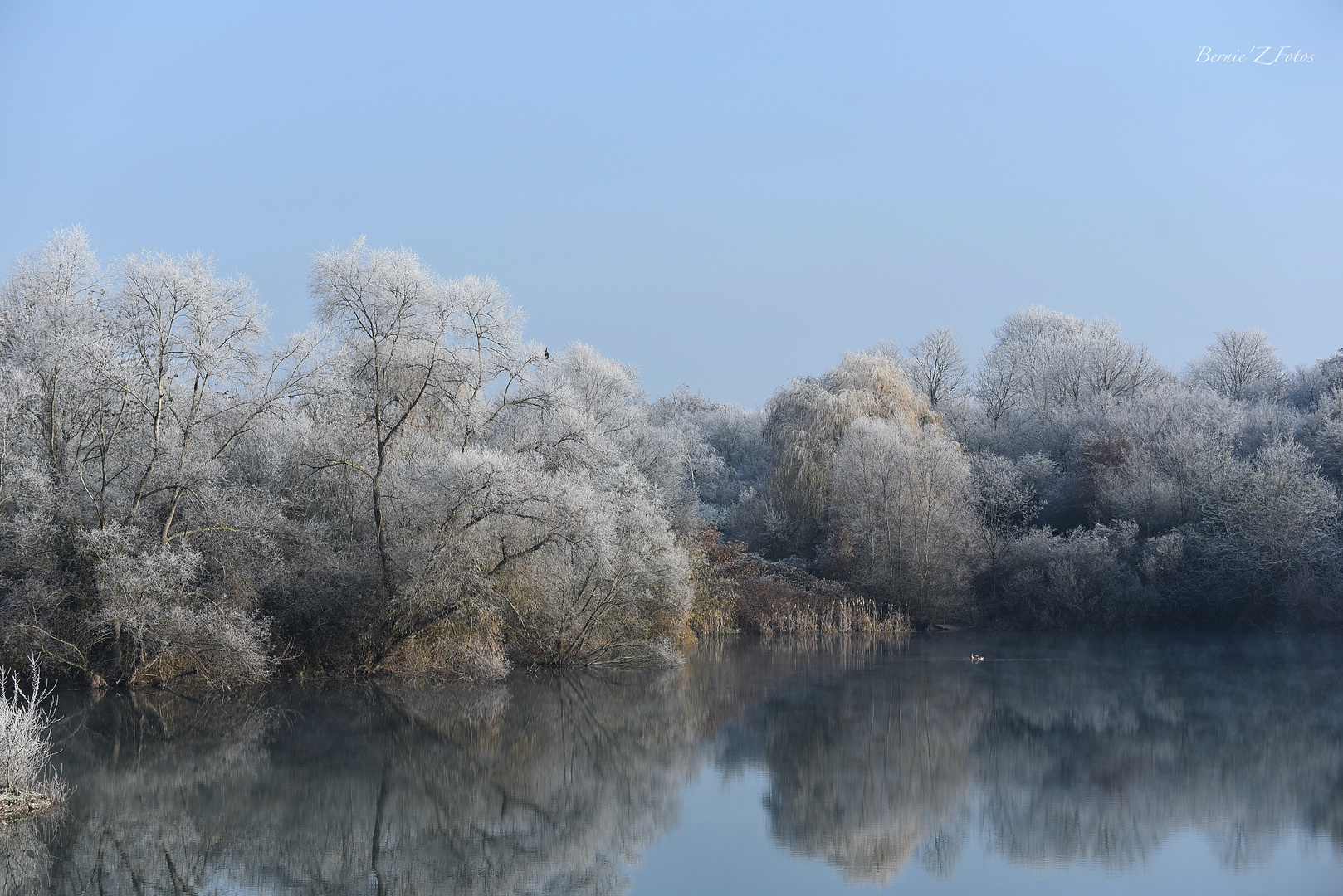 Nature givrée