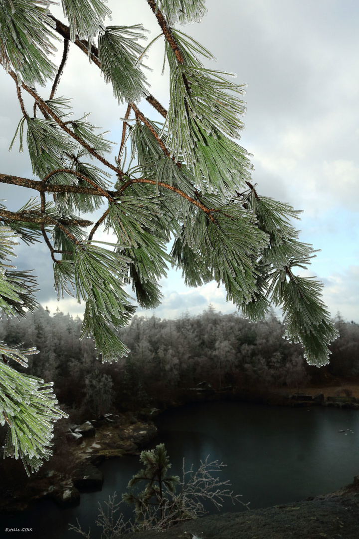 Nature glacée !