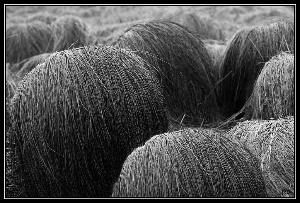 Nature Hair