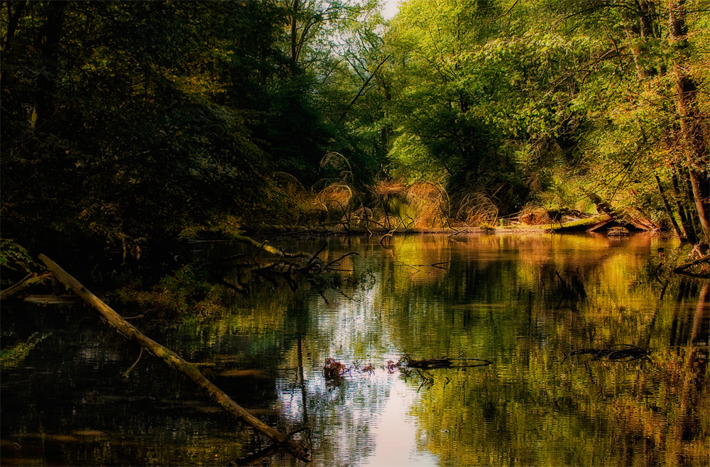 nature in austria