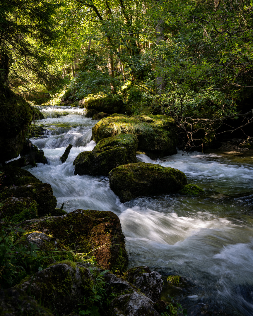 Nature in Golling, Austria