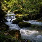 Nature in Golling, Austria