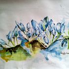 nature in watercolor .... finished