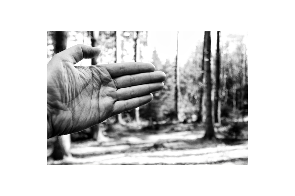 Nature in your hand(s)